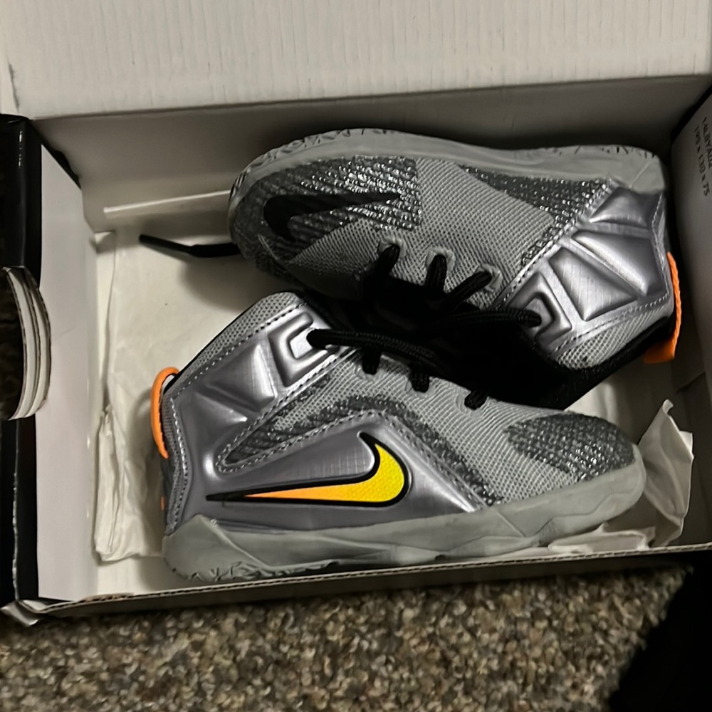 Nike lebron 12